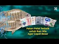 Download Lagu 7 Pakan Pelet Terbaik untuk Ikan Nila dan Spesifikasinya