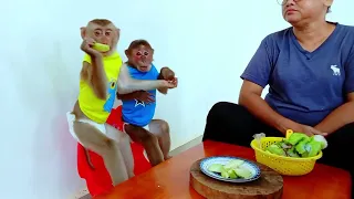 Kind mother Slicing Favorite Fruit For little Monkey #monkey