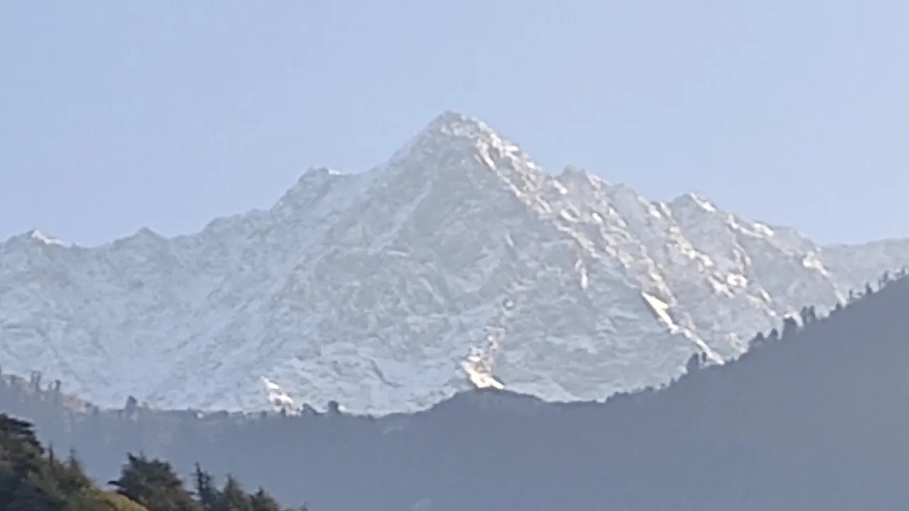 Snowfall #snowfall #manali #trending #trendingvideo #himachal @himachalwalaa @HimachaliSwar