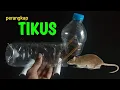 Download Lagu CARA MEMBUAT PERANGKAP TIKUS DARI BOTOL PLASTIK AQUA !!!