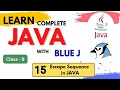 15 Escape Sequence in JAVA Java Complete Course Class 9 ICSE