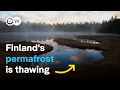 Download Lagu Melting wetlands - How can nature slow down climate change? | DW Documentary