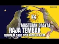 Download Lagu MASTERAN  RAJA TEMBAKAN || PIJANTUNG GUNUNG SPED RAPET NEMBAK PANJANG || AUTO JUARA MASUK MURAI