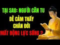 Lagu “Vì Sao Người Căn Tu Dễ Chán Đời, Mất Động Lực Sống? Sự Thật Ít Ai Nói | Tu Tâm Tĩnh Lặng”