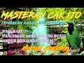 Download Lagu Masteran Cucak ijo pagi hari !!! DIJAMIN NGAMUK dan IKUT GACOR