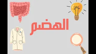 الهضم أحياء أولى ثانوي 2022 