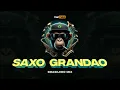 Lagu SAXO GRANDAO (Brasilero Mix)🎷🇧🇷 Irsal Palevi