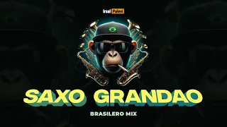 saxo grandao brasilero mix irsal palevi