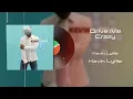 Kevin Lyttle - Drive Me Crazy (Vinyl Visualizer)