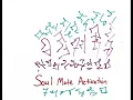 Light Language Soul Mate Activation