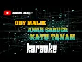 Download Lagu ODY MALIK - ANAK SARUGO KAYU TANAM ( KARAUKE )