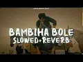 Bambiha Bole (Slow + Reverb) | Sidhu Moose Wala |Amrit maan| Punjabi Song