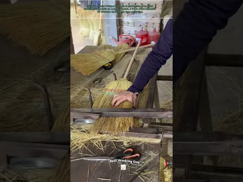 Fabrication d'un balai à partir de sorgho à balais sur une machine à découper à guillotine