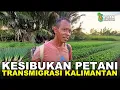 Download Lagu PAK JUMIRAN MANFAATKAN LAHAN KOSONG DEKAT RUMAH UNTUK BERKEBUN SAYUR