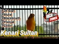 Download Lagu Kenari Isian Full Masteran Terbaru