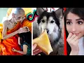 Download Lagu Wholesome Tik Toks That Will Make Your Day