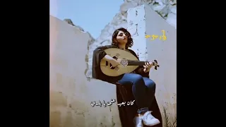 في حبيب القلب يا بلدي حالات واتس اب 
