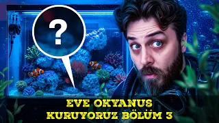 EVE OKYANUS KURUYORUZ BÖLÜM 3 - DENİZ AKVARYUMU