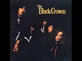The Black Crowes - Twice as Hard (with lyrics)