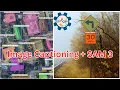 Automated Segmentation with Image Captioning Meta s SAM 3