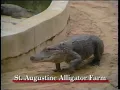 AAA Florida 1991