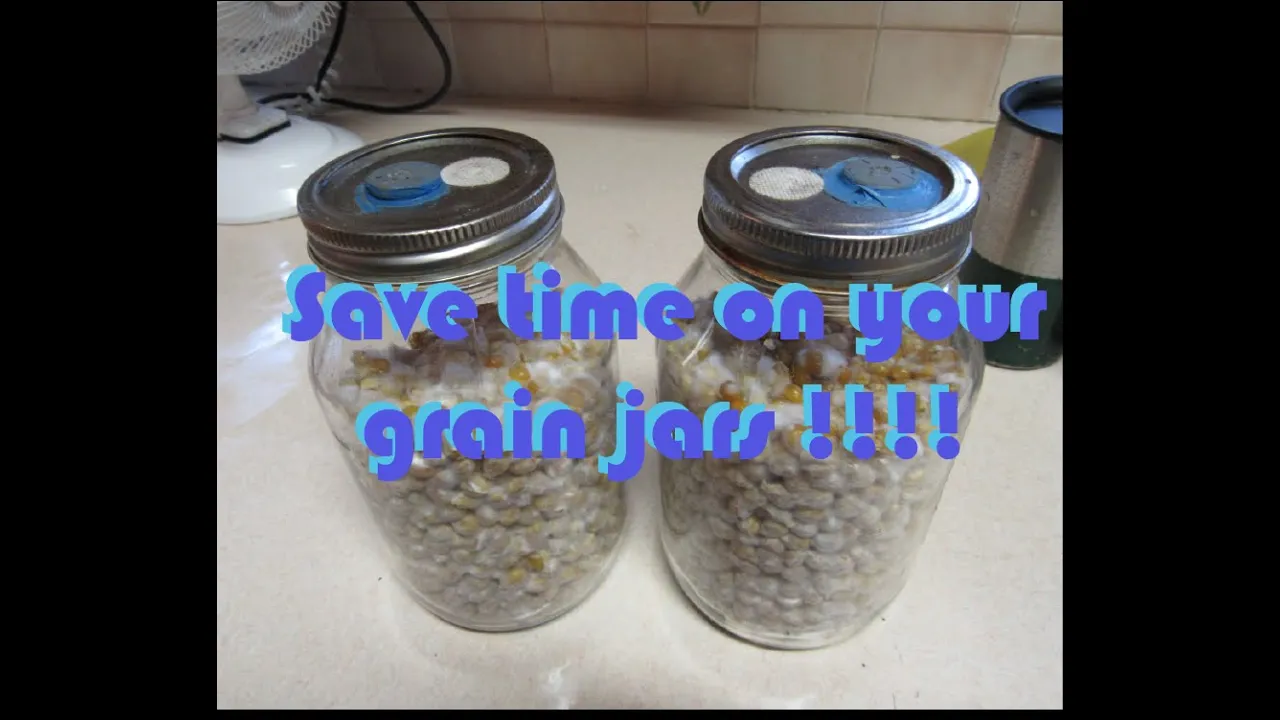 Best Liquid Culture Inoculation Tek!! Fully Colonized Grain Jars in Record Time