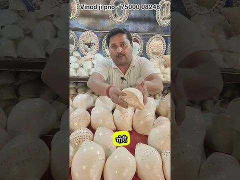 लाखों मैं एक मिलने वाला गौरी शंख 😳😳😳😳 #haridwar #wholesale #शंख #gaurishankh