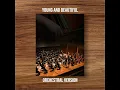 Young and Beautiful (Orchestral Cover)