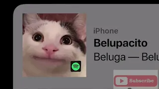 beluga belupacito official video 