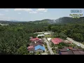 Download Lagu AERIAL VIEW: Sungai Rotan, Trong, Perak