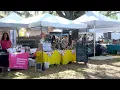 Ocala Spring Crafts and Food Fest draws in dozens of vendors
