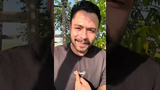 الوطن بـ ٢ جنية فارس قطرية 