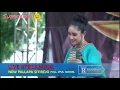 Download Lagu NEW PALLAPA - PERTENGKARAN - ANISA RAHMA