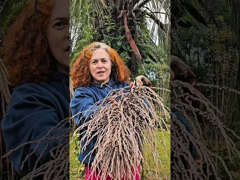 🤯 Você não vai acreditar no que essa casca virar!