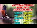 Download Lagu MASTERAN MURAI BATU LOMBA AMPUH UNTUK PANCING EMOSI AGAR NGAMUK DAN BONGKAR MATERI