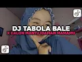 Download Lagu DJ TABOLA BALE X CALON MANTU IDAMAN MAMAMU - MENGKENE VIRAL TIKTOK 2025