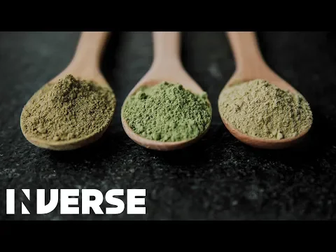 Kratom Effects Explained | Inverse