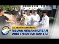 Download Lagu WOW! TNI AD Sembelih Ribuan Hewan Kurban [Selamat Pagi Indonesia]