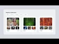 Image Gallery Website Design using HTML and CSS Project Tutorial For Beginners