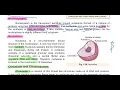 Nucleus Nuclear Envelope Nucleoplasm Nucleoli and Chrmatin Chromatin and Chromosomes