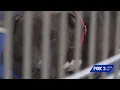 St Louis County doubles pet adoption fees raising concerns
