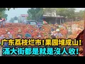 Download Lagu 頂不住了！廣東荔枝爛市跌到地板價！果園堆成山！三毛壹斤當垃圾清理，滿大街都是就是沒人收！果農血虧！