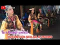 Download Lagu Tari Umbul-umbul Ebeg Banyumasan Turonggo Sekar Kusumo (TSK) Live Gunung duwur Gumelem Kulon