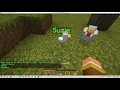What is Wild Pets