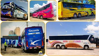 top 20 mabasi yenye rangi na michoro mizuri zaidi tanzania part 1 20 mpaka 11