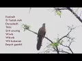 Mitos Burung Kerdasih ..