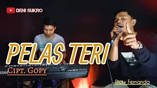 Download PELAS TERI - Ricky Fernanda ( Official Music Video ) MP3