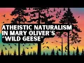 Why Mary Oliver s Wild Geese Is So Beautiful Yet So Unsatisfactory