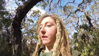 Episode 345 – Dead Battery –  Life of a Gypsy Day 241