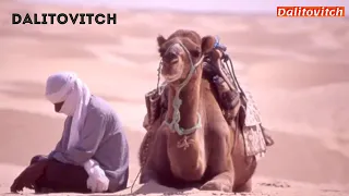 ثراث تونسي  اركزي على الرملة جو تونسي من صميم الت     دندنها